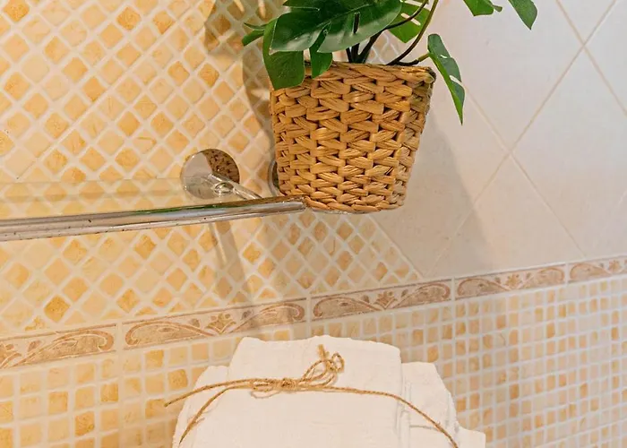 招待所 Dafne Con Terrazza 4*